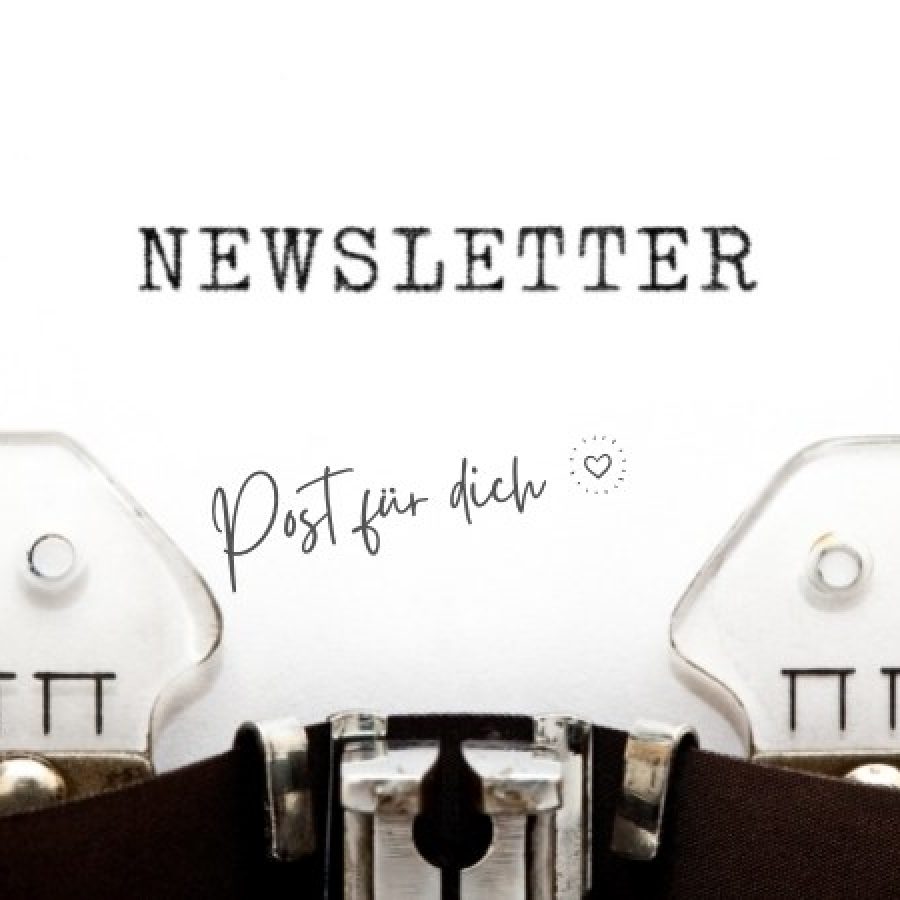 newsletter 3 newsletter 3
